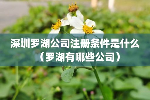 深圳罗湖公司注册条件是什么（罗湖有哪些公司）