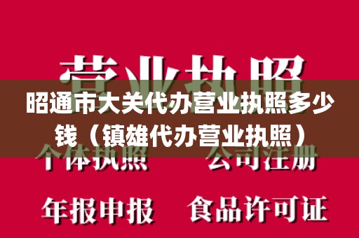 昭通市大关代办营业执照多少钱（镇雄代办营业执照）