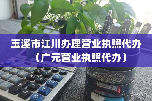 玉溪市江川办理营业执照代办（广元营业执照代办）
