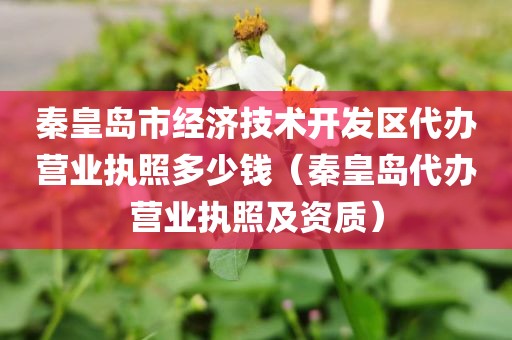 秦皇岛市经济技术开发区代办营业执照多少钱(秦皇岛代办营业执照及资质)