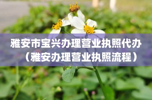 雅安市宝兴办理营业执照代办（雅安办理营业执照流程）