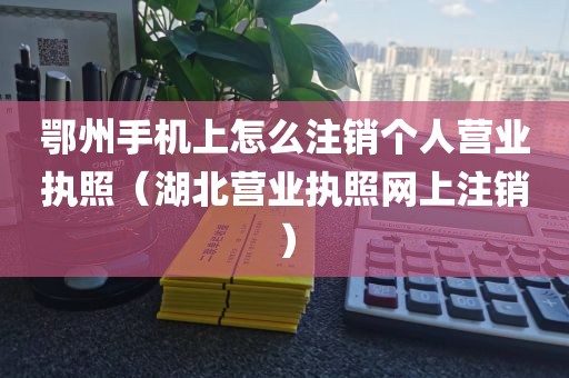 鄂州手机上怎么注销个人营业执照（湖北营业执照网上注销）