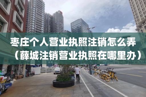 枣庄个人营业执照注销怎么弄（薛城注销营业执照在哪里办）