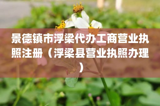 景德镇市浮梁代办工商营业执照注册（浮梁县营业执照办理）