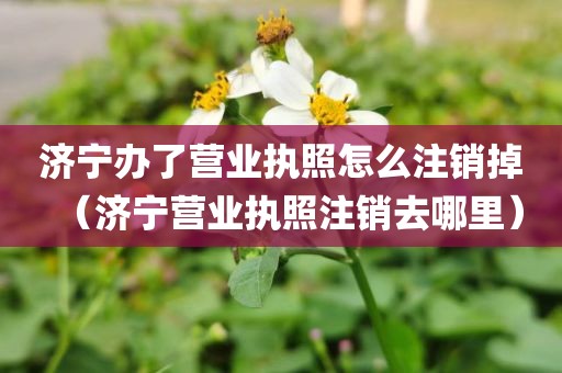 济宁办了营业执照怎么注销掉（济宁营业执照注销去哪里）