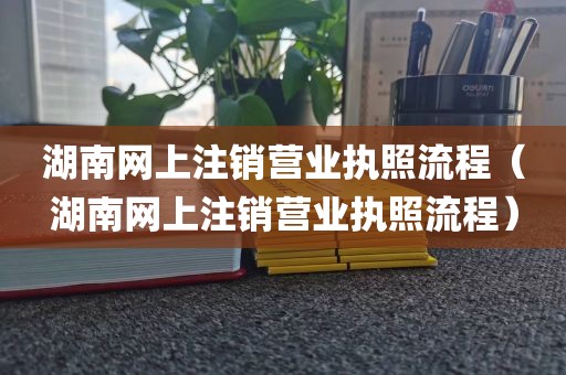 湖南网上注销营业执照流程（湖南网上注销营业执照流程）