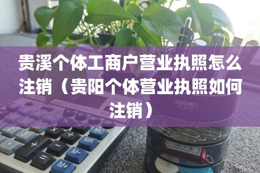 贵溪个体工商户营业执照怎么注销（贵阳个体营业执照如何注销）