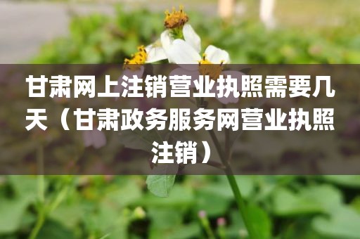 甘肃网上注销营业执照需要几天（甘肃政务服务网营业执照注销）