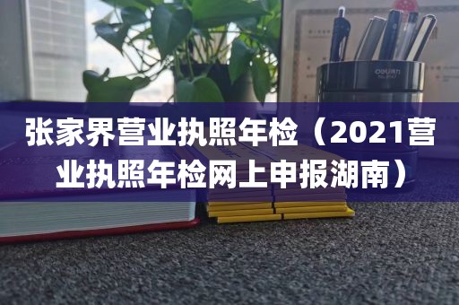 张家界营业执照年检（2021营业执照年检网上申报湖南）