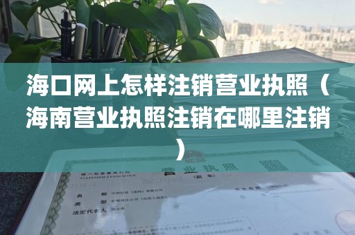海口网上怎样注销营业执照（海南营业执照注销在哪里注销）