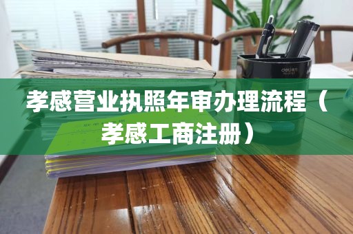 孝感营业执照年审办理流程（孝感工商注册）
