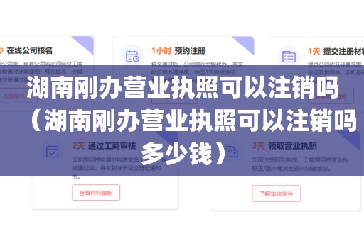 湖南刚办营业执照可以注销吗（湖南刚办营业执照可以注销吗多少钱）
