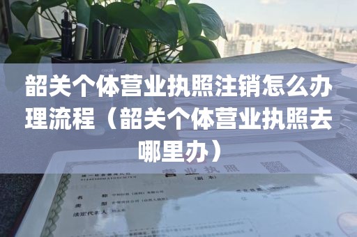 韶关个体营业执照注销怎么办理流程（韶关个体营业执照去哪里办）