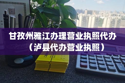 甘孜州雅江办理营业执照代办（泸县代办营业执照）