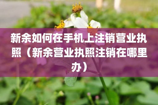 新余如何在手机上注销营业执照(新余营业执照注销在哪里办)