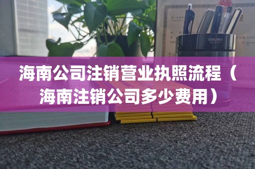 海南公司注销营业执照流程（海南注销公司多少费用）