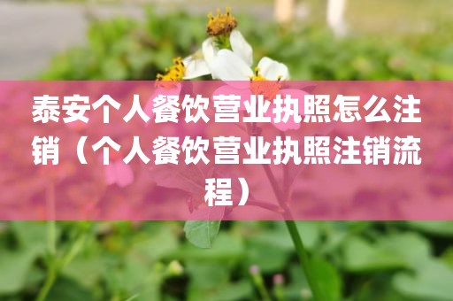 泰安个人餐饮营业执照怎么注销（个人餐饮营业执照注销流程）
