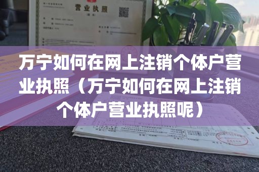 万宁如何在网上注销个体户营业执照（万宁如何在网上注销个体户营业执照呢）