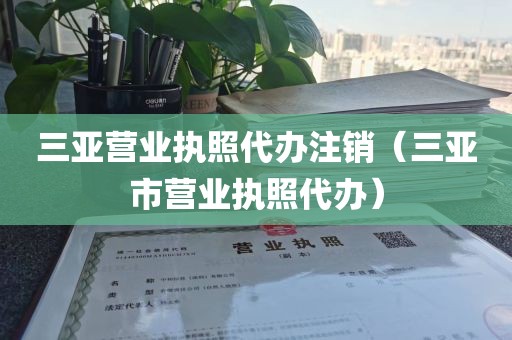三亚营业执照代办注销（三亚市营业执照代办）