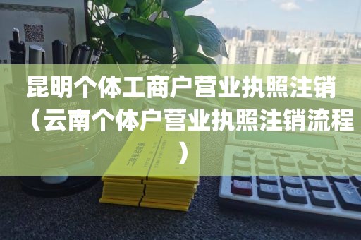 昆明个体工商户营业执照注销（云南个体户营业执照注销流程）