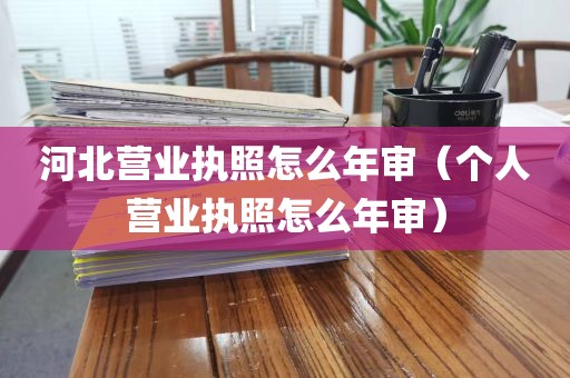 河北营业执照怎么年审（个人营业执照怎么年审）