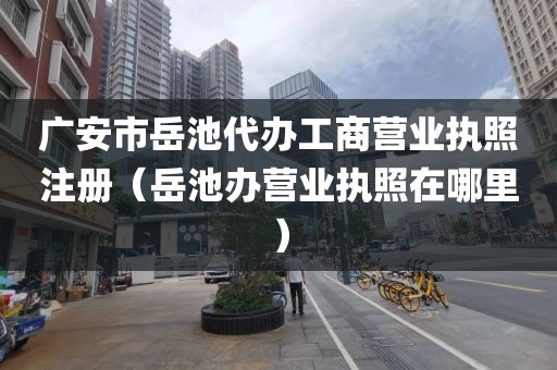 广安市岳池代办工商营业执照注册（岳池办营业执照在哪里）