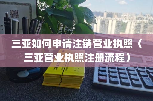 三亚如何申请注销营业执照（三亚营业执照注册流程）