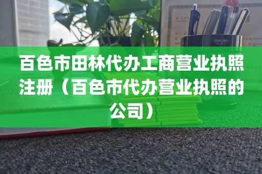 百色市田林代办工商营业执照注册（百色市代办营业执照的公司）