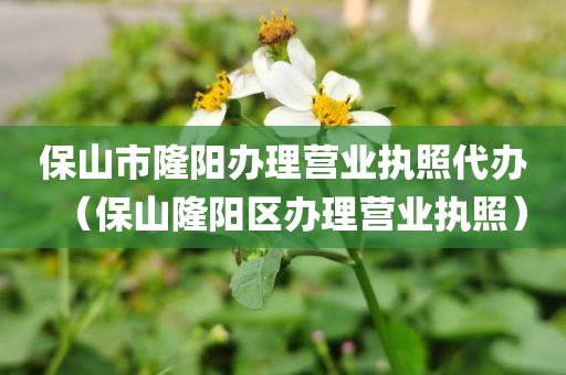 保山市隆阳办理营业执照代办（保山隆阳区办理营业执照）
