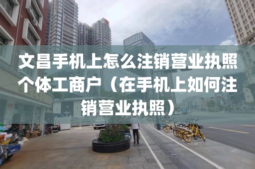 文昌手机上怎么注销营业执照个体工商户（在手机上如何注销营业执照）