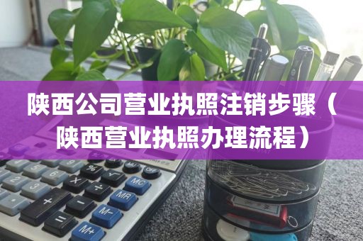 陕西公司营业执照注销步骤(陕西营业执照办理流程)