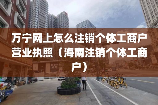 万宁网上怎么注销个体工商户营业执照（海南注销个体工商户）