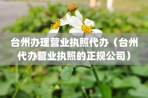台州办理营业执照代办(台州代办营业执照的正规公司)