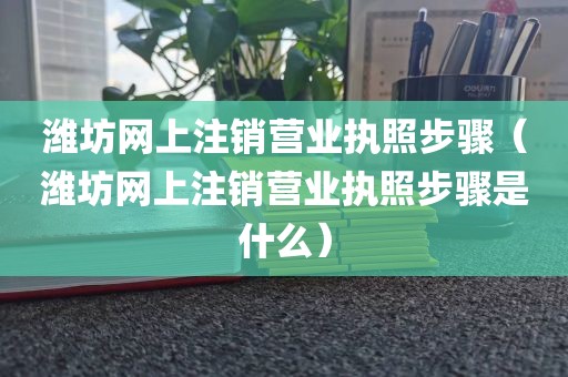 潍坊网上注销营业执照步骤（潍坊网上注销营业执照步骤是什么）