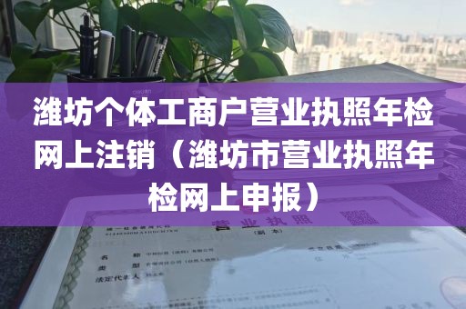 潍坊个体工商户营业执照年检网上注销（潍坊市营业执照年检网上申报）