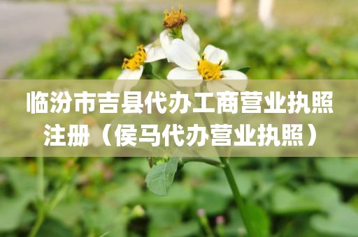 临汾市吉县代办工商营业执照注册（侯马代办营业执照）