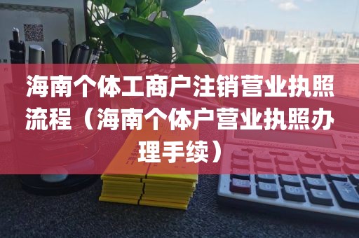 海南个体工商户注销营业执照流程（海南个体户营业执照办理手续）