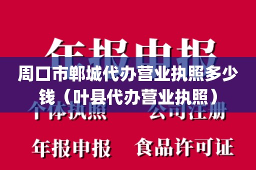 周口市郸城代办营业执照多少钱（叶县代办营业执照）