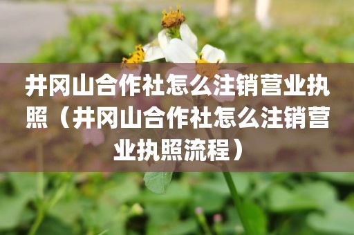 井冈山合作社怎么注销营业执照(井冈山合作社怎么注销营业执照流程)
