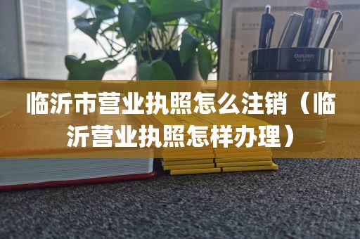 临沂市营业执照怎么注销（临沂营业执照怎样办理）