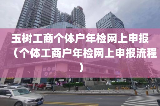 玉树工商个体户年检网上申报（个体工商户年检网上申报流程）