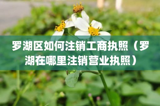 罗湖区如何注销工商执照（罗湖在哪里注销营业执照）