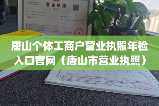 唐山个体工商户营业执照年检入口官网（唐山市营业执照）