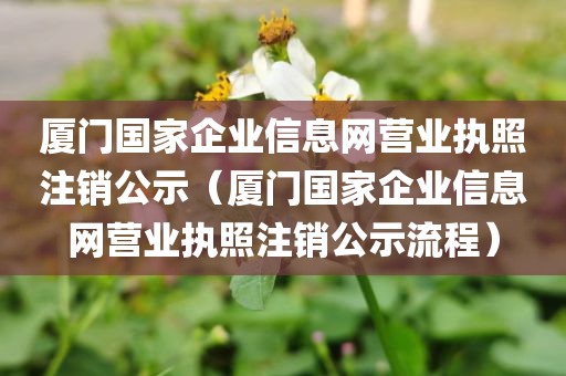 厦门国家企业信息网营业执照注销公示（厦门国家企业信息网营业执照注销公示流程）
