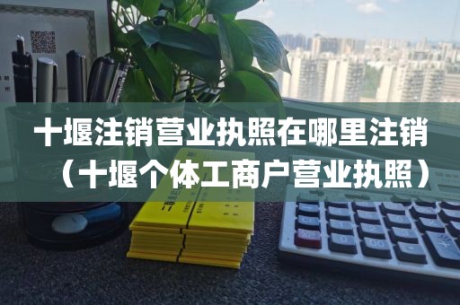 十堰注销营业执照在哪里注销(十堰个体工商户营业执照)