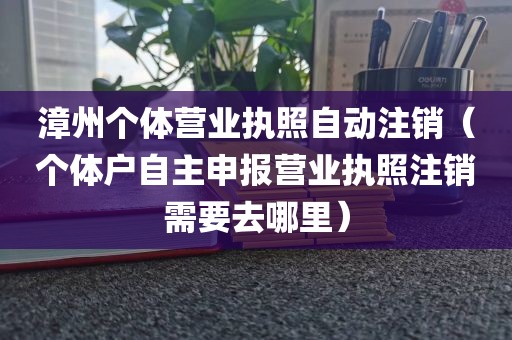 漳州个体营业执照自动注销（个体户自主申报营业执照注销需要去哪里）