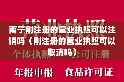 南宁刚注册的营业执照可以注销吗（刚注册的营业执照可以取消吗）