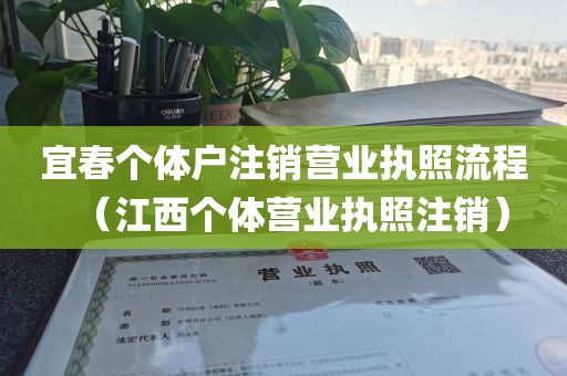 宜春个体户注销营业执照流程(江西个体营业执照注销)