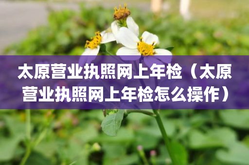 太原营业执照网上年检（太原营业执照网上年检怎么操作）