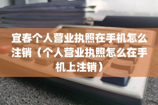 宜春个人营业执照在手机怎么注销（个人营业执照怎么在手机上注销）